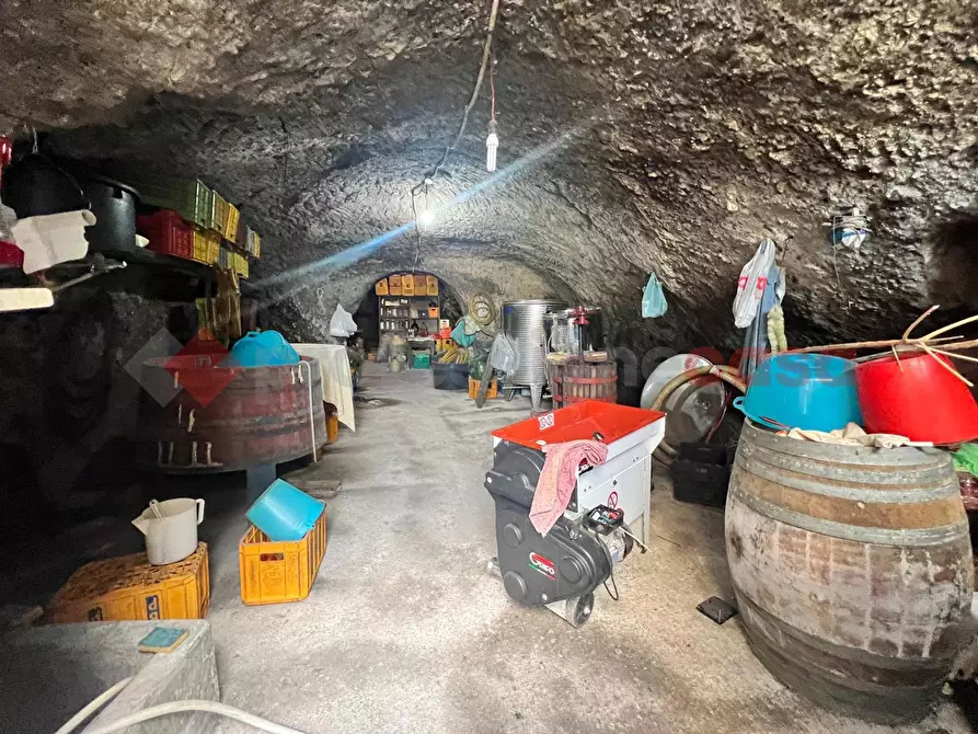 Immagine 28 di Terreno agricolo in vendita  in Contrada GORIZZE, SNC a Barile