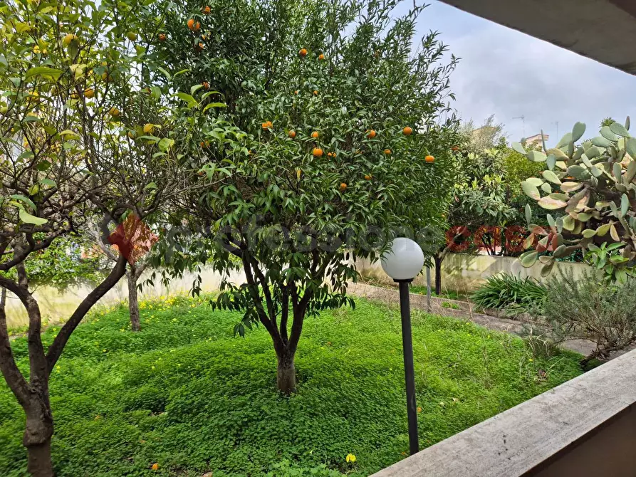 Immagine 33 di Villa in vendita  in Piazza DELLE ORCHIDEE, 18 a Brindisi