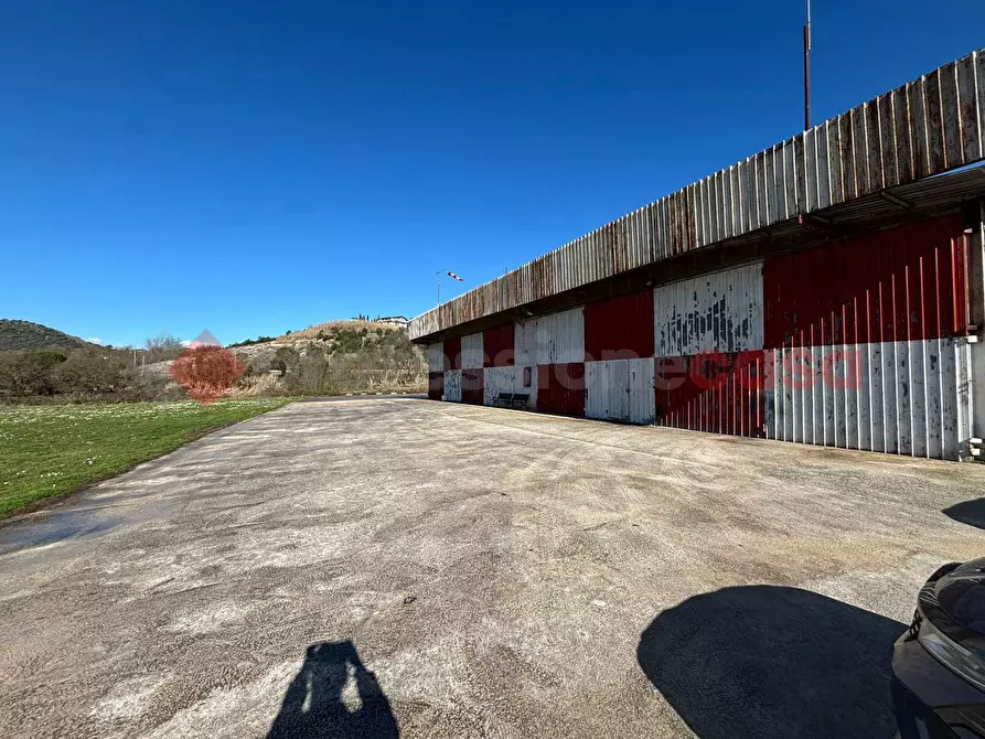 Immagine 3 di Capannone industriale in affitto  in Via Morolense, snc a Ferentino