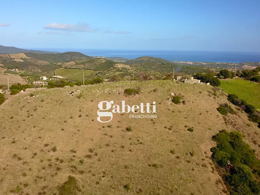 Immagine 8 di Terreno residenziale in vendita  in LocalitÃ  Giustinu, snc a Budoni