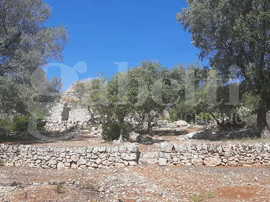 Immagine 2 di Terreno agricolo in vendita  in Contrada la chiusa, sn a Ostuni