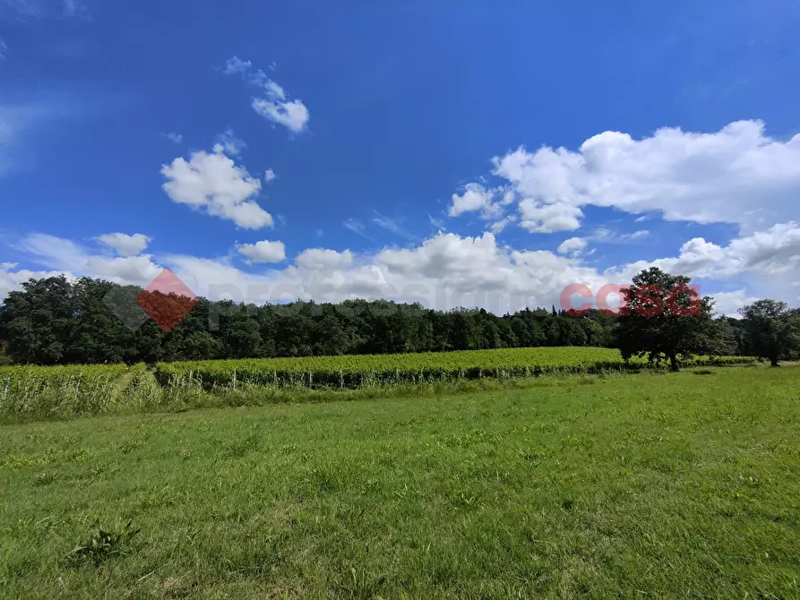 Immagine 46 di Terreno agricolo in vendita  in Via di castagneto a Empoli