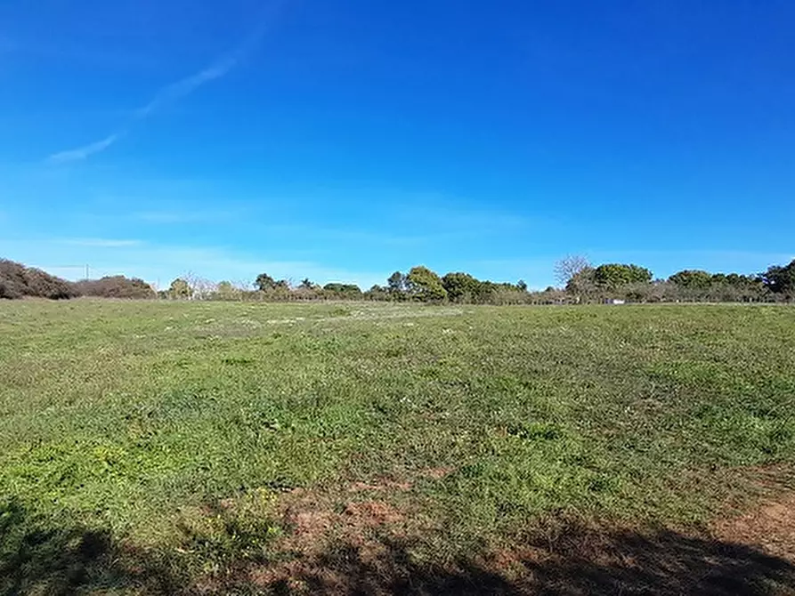 Immagine 2 di Terreno agricolo in vendita  in Via DELLA MOLA, 00 a Manziana