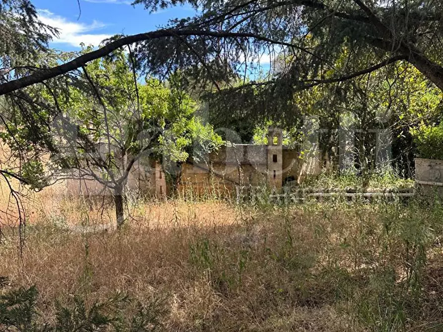 Immagine 40 di Villa in vendita  in Contrada San Benedetto, sn a Ostuni