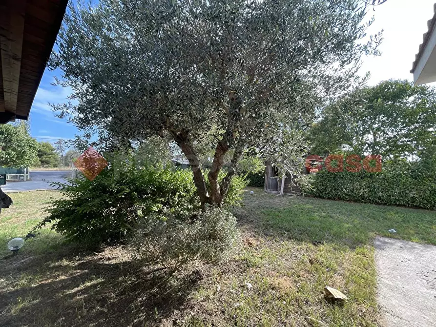Immagine 33 di Villa in vendita  in Via PONTINA, 148 a Terracina