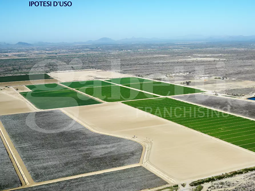 Immagine 1 di Terreno agricolo in vendita  in Via SANT'ANNA DI CHIOGGIA- VIA CANAL DI VALLE, 00 a Chioggia