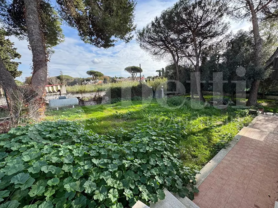 Immagine 3 di Casa bifamiliare in vendita  in Via tirso, 48 a Ardea