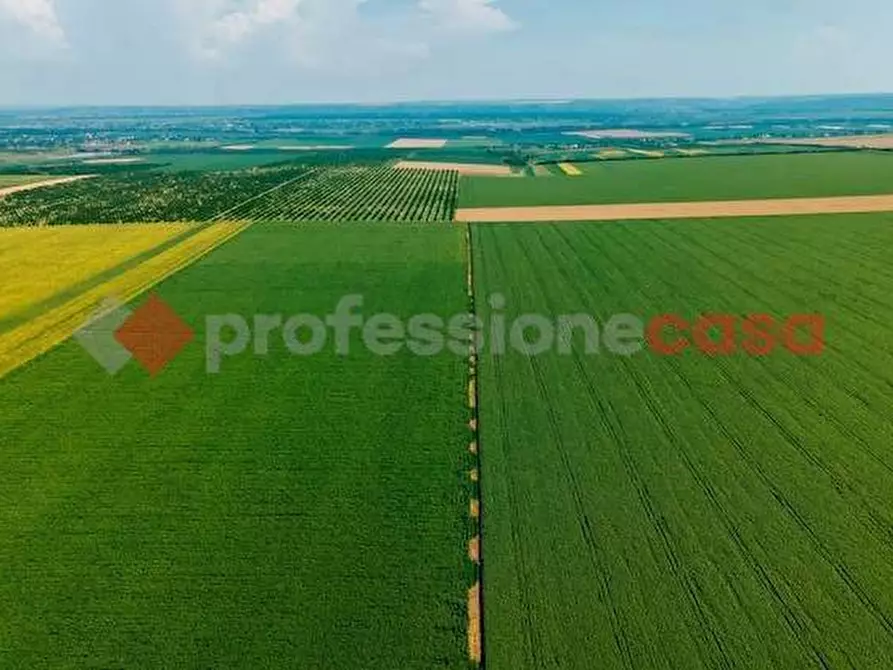 Immagine 5 di Terreno residenziale in vendita  in LocalitÃ  Sant'Anna, snc a Anagni