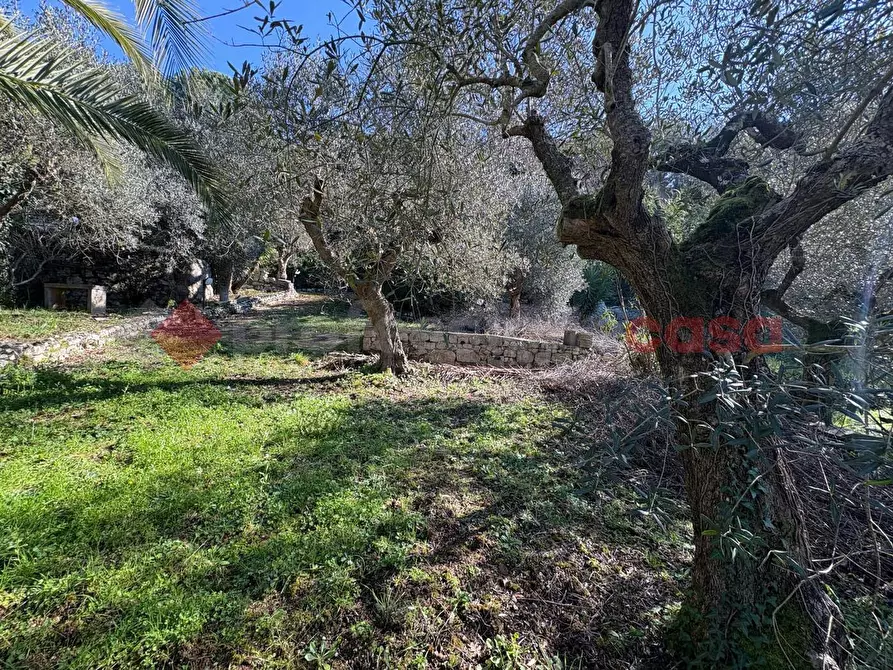 Immagine 27 di Casa indipendente in vendita  in Via CAMPOSORIANO, 1 a Terracina