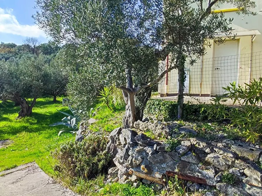 Immagine 40 di Villa in vendita  in LocalitÃ  MORTILLA, SNC a Magisano