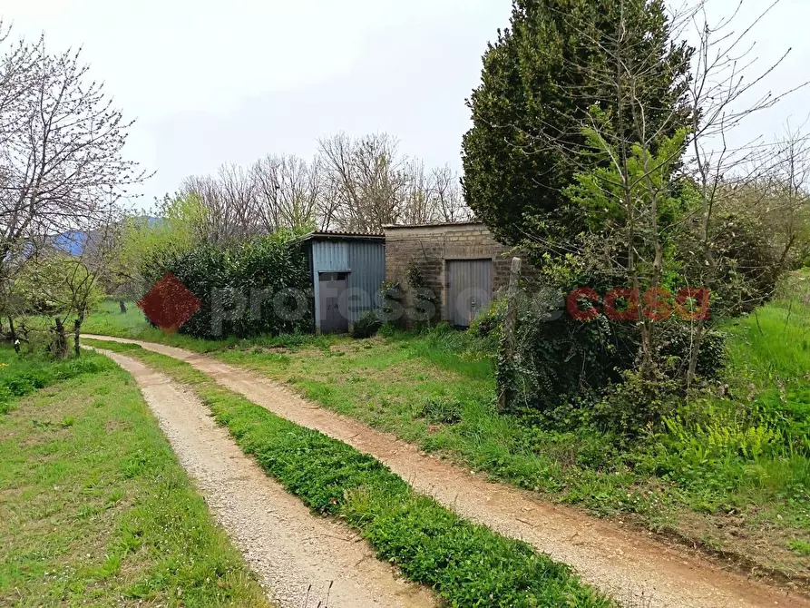 Immagine 8 di Terreno agricolo in vendita  in Strada Vicinale Ponte del Papa, snc a Anagni