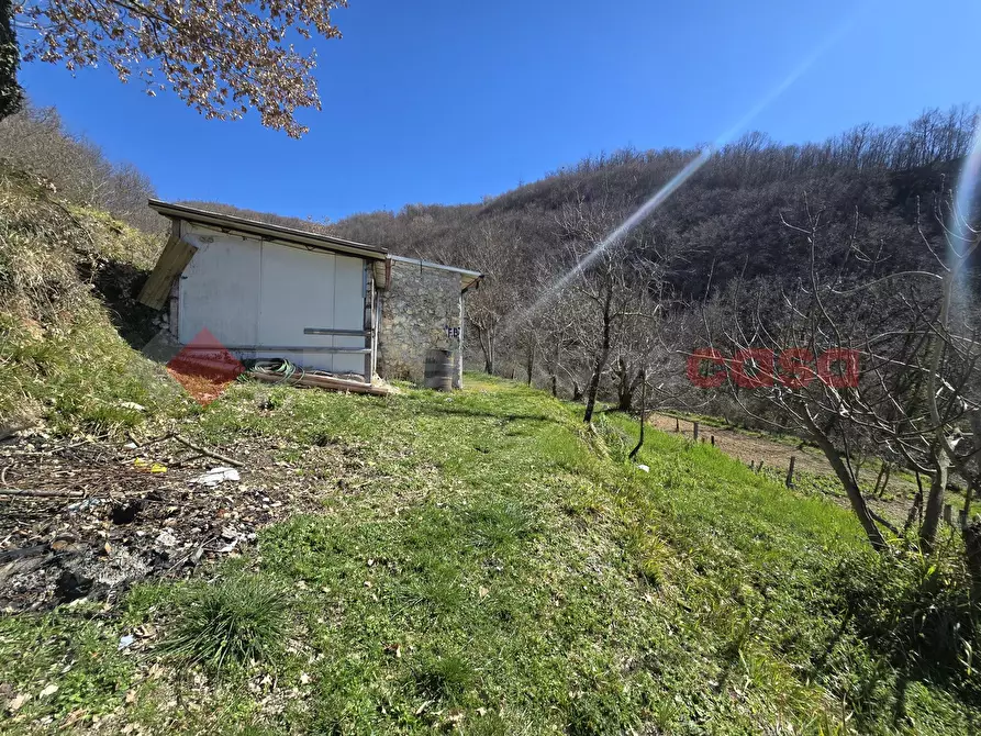 Immagine 3 di Terreno agricolo in vendita  in Via del Cerenaro, snc a Rieti