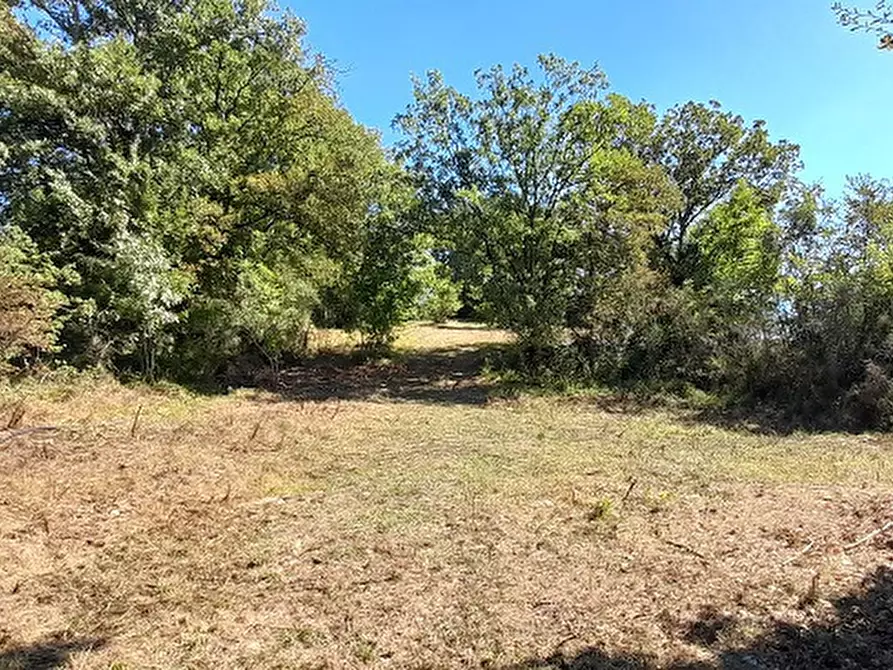 Immagine 2 di Terreno residenziale in vendita  in Via TORRETTA, 00 a Canale Monterano