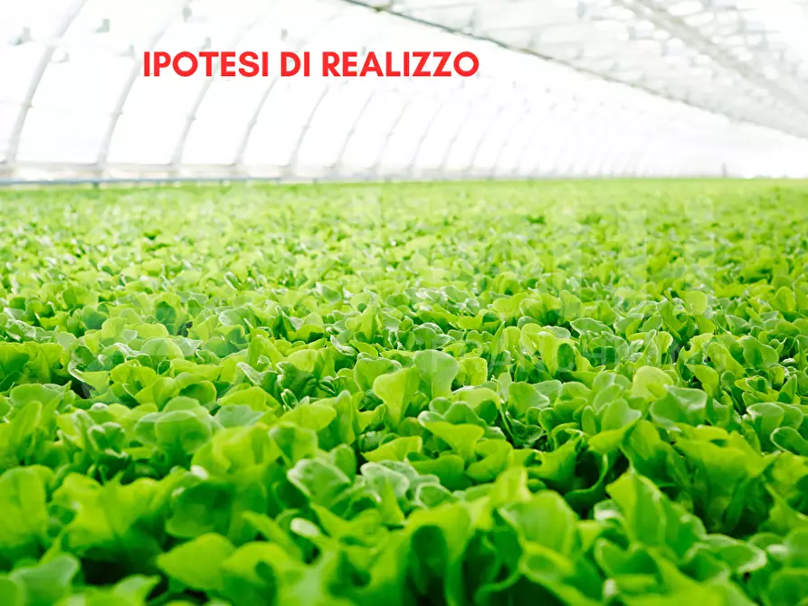 Immagine 10 di Terreno agricolo in vendita  in Via SANT'ANNA - VIA CANAL DI VALLE, 00 a Chioggia