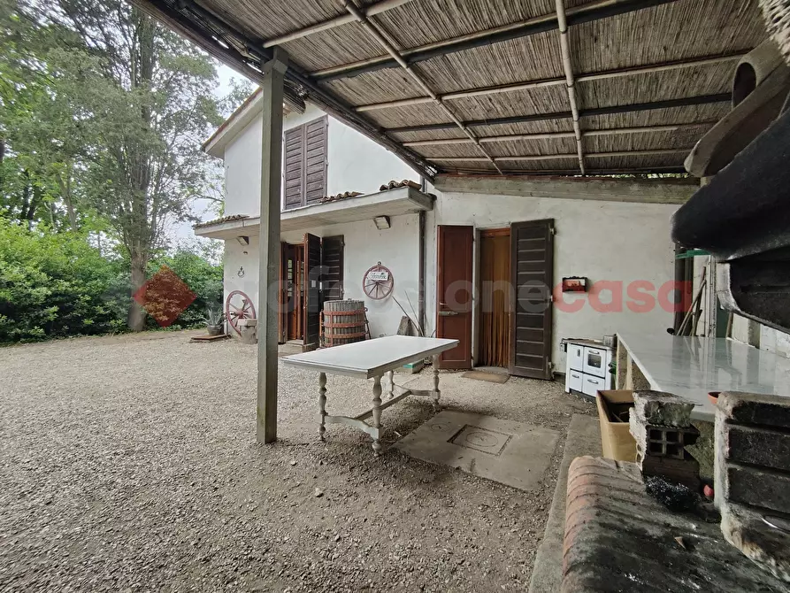 Immagine 12 di Terreno agricolo in vendita  in Via di castagneto a Empoli