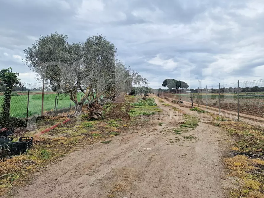 Immagine 3 di Terreno residenziale in vendita  in Via ss131, snc a Sestu