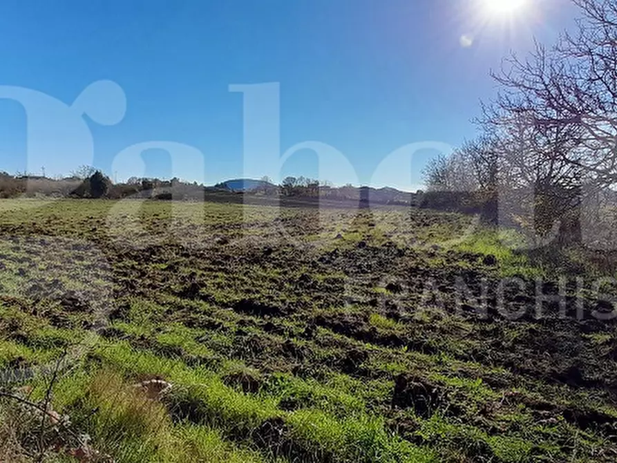 Immagine 23 di Rustico / casale in vendita  in Via DEL CONDOTTINO, 00 a Manziana