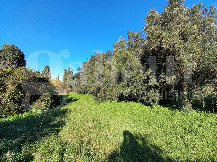 Immagine 2 di Terreno agricolo in vendita  in LocalitÃ  Tanca Manna, snc a Capoterra