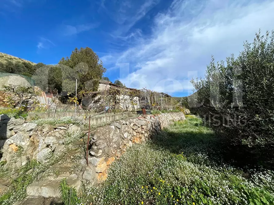 Immagine 11 di Terreno agricolo in vendita  in Via Sant'Agostino, snc a Gaeta