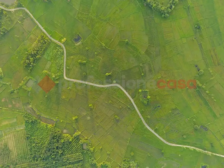 Immagine 4 di Terreno residenziale in vendita  in LocalitÃ  Paduni, snc a Anagni