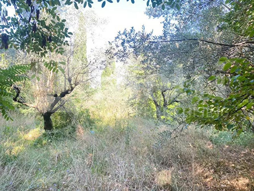 Immagine 6 di Terreno agricolo in vendita  in Via VITTORIO EMANUELE II, 5 a Assisi