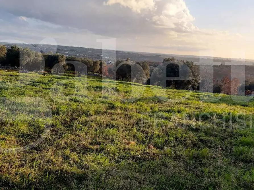 Immagine 1 di Terreno agricolo in vendita  in Contrada Cinera/San Galare, sn a Ostuni