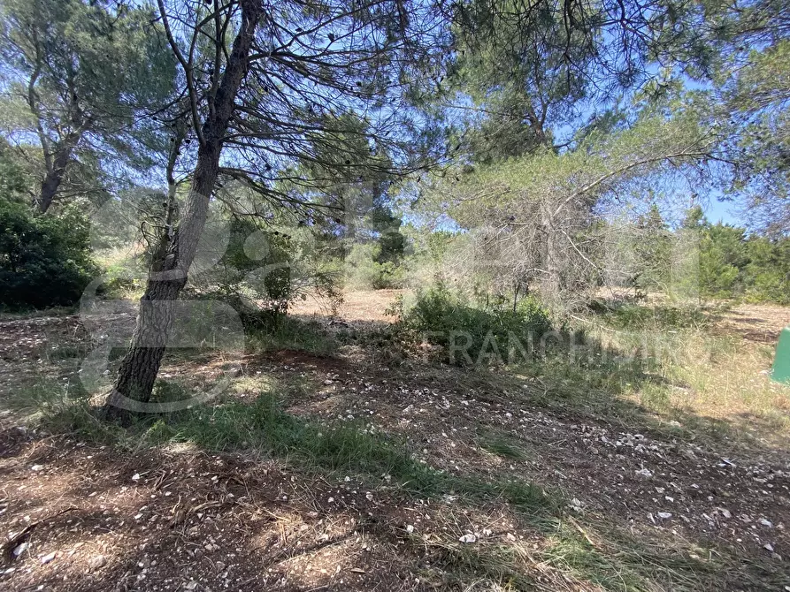 Immagine 33 di Villa in vendita  in Via S.P. 18, 76 a Cassano Delle Murge