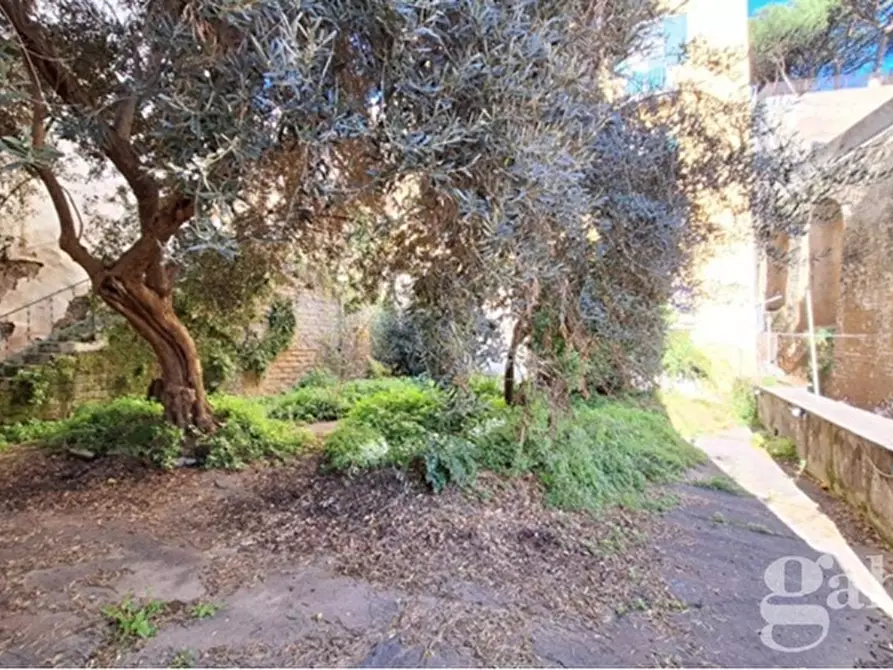 Immagine 24 di Palazzo in vendita  in Via Salita del Petraio a Napoli