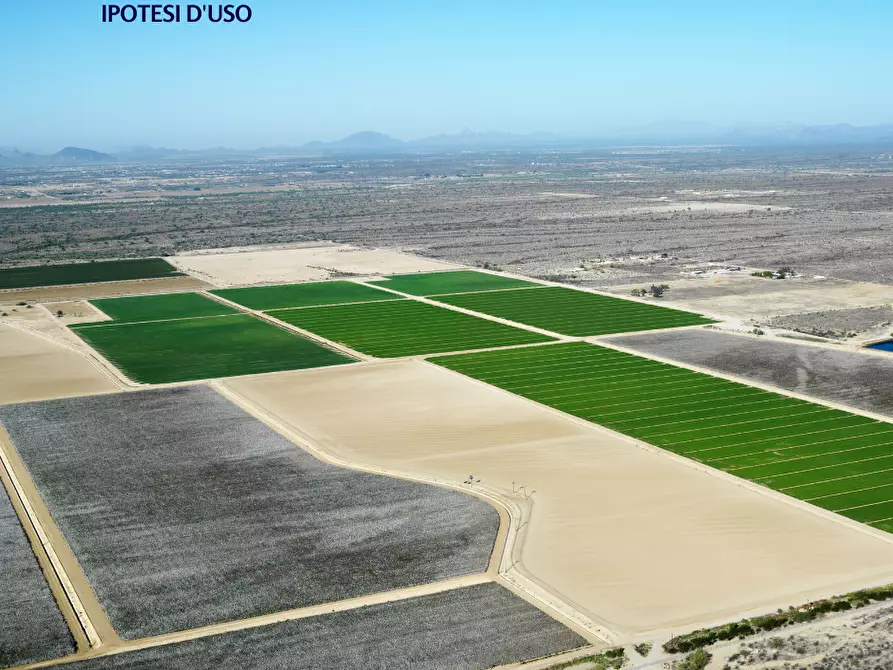 Immagine 1 di Terreno agricolo in vendita  in Via CA' LINO - SAN GIUSEPPE, 00 a Chioggia