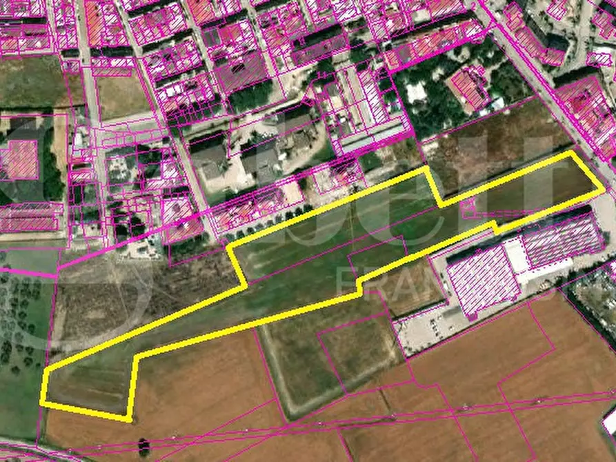 Immagine 5 di Terreno agricolo in vendita  in Via soccorso a San Severo