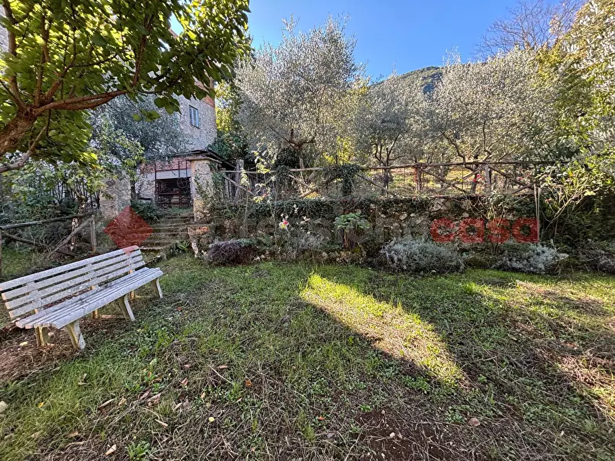 Immagine 1 di Terreno agricolo in vendita  in Via Vignali, snc a Sgurgola