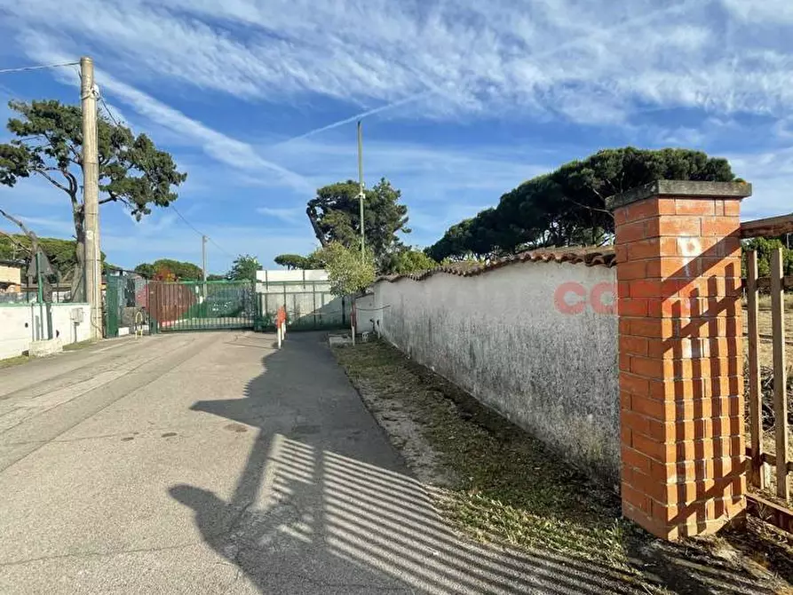 Immagine 13 di Terreno agricolo in vendita  in Strada PROV. S. FELICE CIRCEO, 1 a Terracina