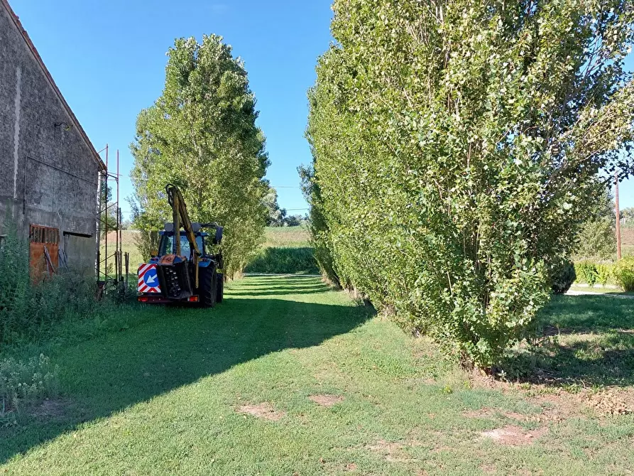 Immagine 6 di Rustico / casale in vendita  in Via CAVARZERE localitÃ  Fossaviera, 8 a Cavarzere