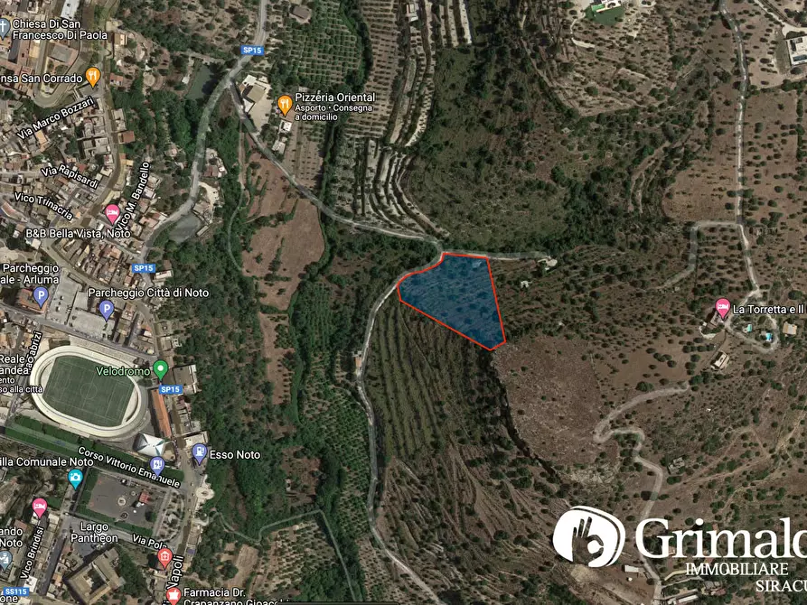 Immagine 5 di Terreno agricolo in vendita  in Via SP15 a Noto