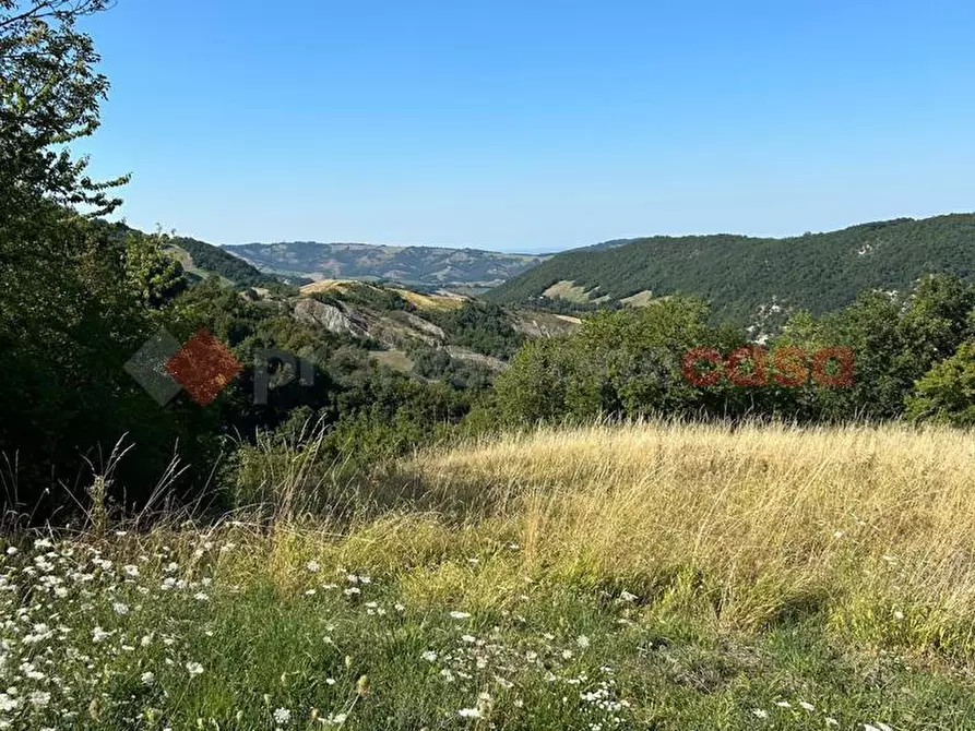 Immagine 10 di Casa indipendente in vendita  in Via casale a Baiso