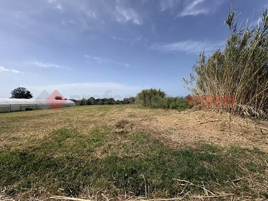 Immagine 3 di Terreno agricolo in vendita  in Via PONTE DI FERRO, 74 a Terracina