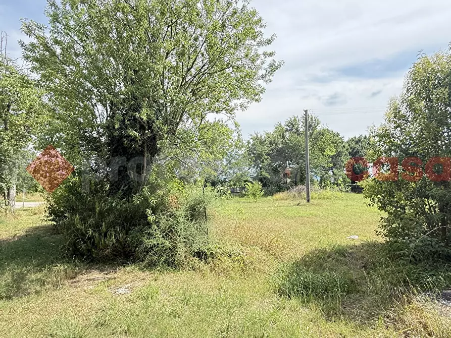 Immagine 10 di Casa indipendente in vendita  in Via sacro cuore, 10 a Alatri