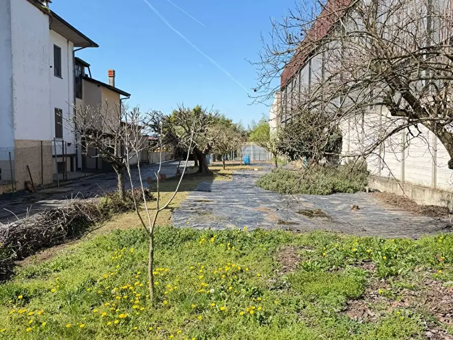 Immagine 13 di Terreno residenziale in vendita  in Via GUGLIERMO MARCONI, 104 a Miradolo Terme