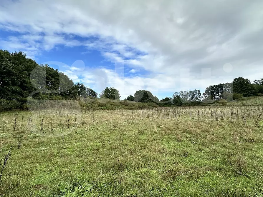 Immagine 6 di Terreno agricolo in vendita  in Via BRACCIANESE, SNC a Oriolo Romano