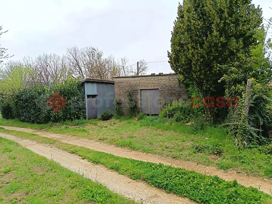 Immagine 11 di Terreno agricolo in vendita  in Strada Vicinale Ponte del Papa, snc a Anagni