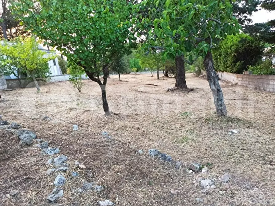 Immagine 6 di Villa in vendita  in Contrada vaccaro, 84 a Martina Franca