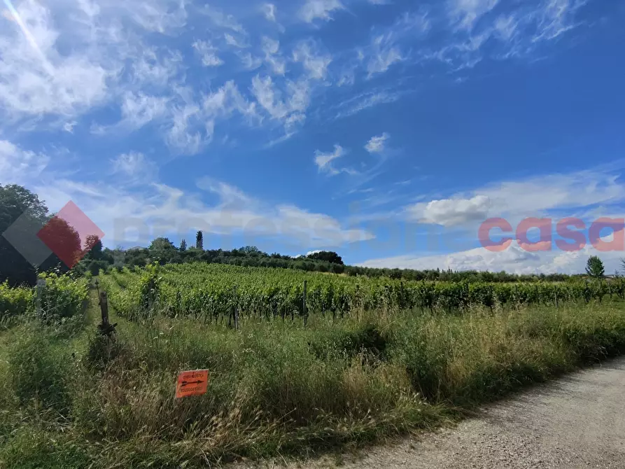 Immagine 40 di Terreno agricolo in vendita  in Via di castagneto a Empoli