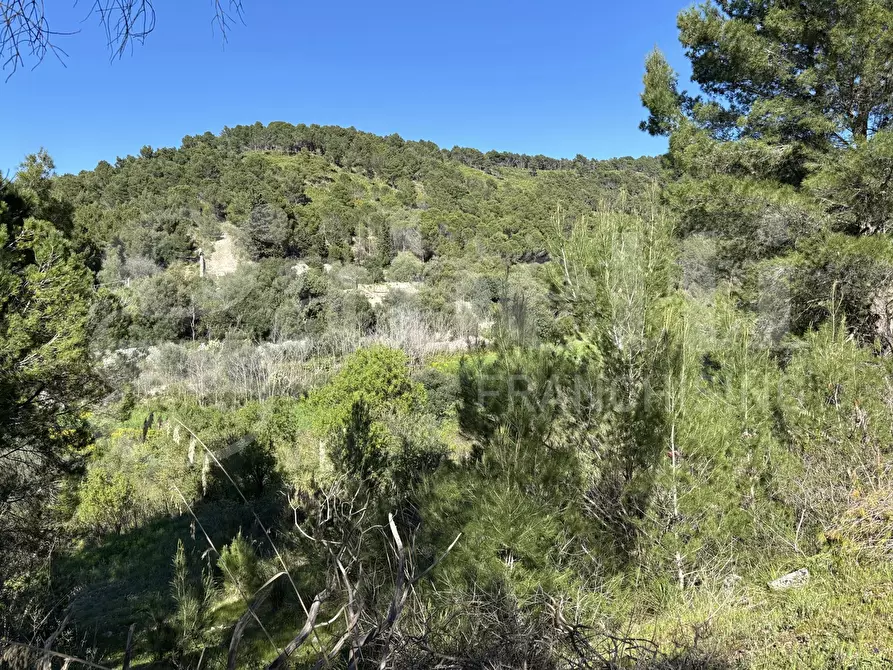 Immagine 2 di Rustico / casale in vendita  in Contrada Petraro, snc a Chiaramonte Gulfi