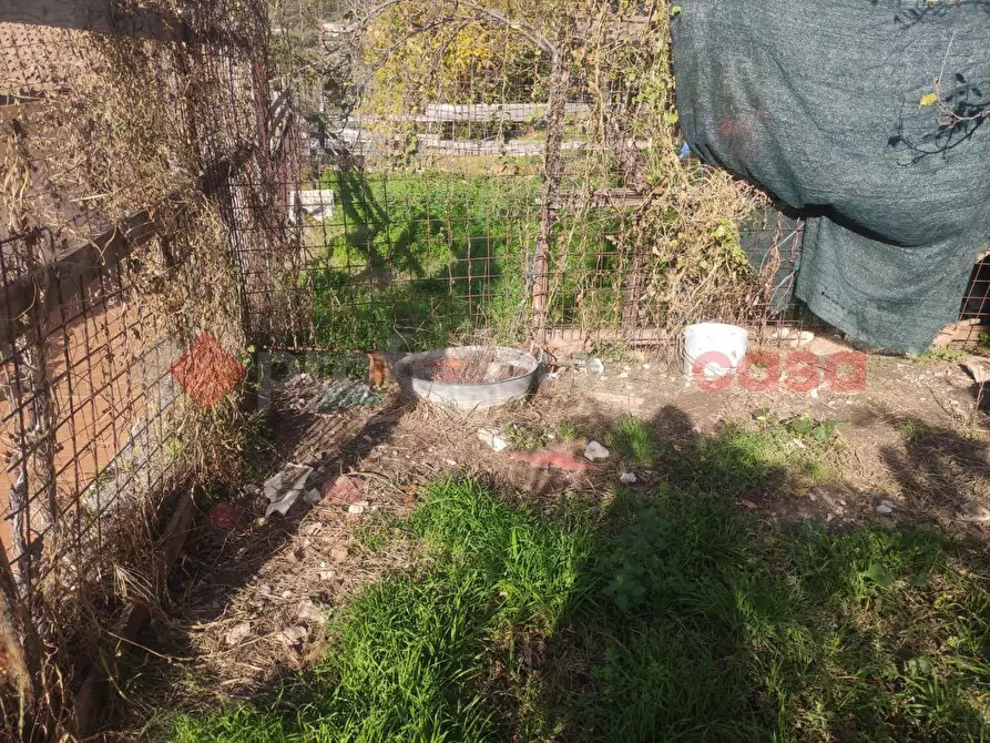 Immagine 5 di Villetta a schiera in vendita  in Via del Colle a Campello Sul Clitunno