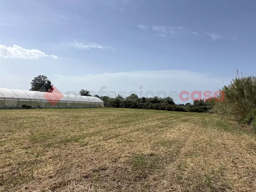 Immagine 8 di Terreno agricolo in vendita  in Via PONTE DI FERRO, 74 a Terracina