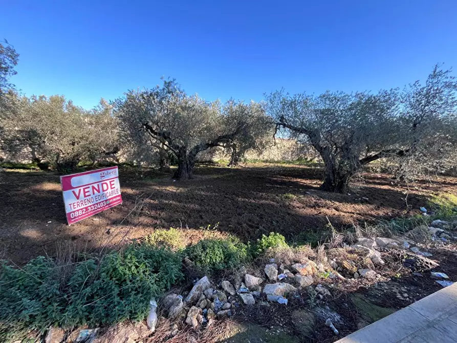 Immagine 1 di Terreno residenziale in vendita  in Via LITTERO a San Severo