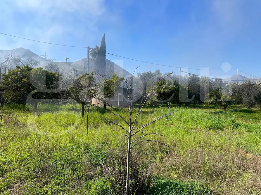 Immagine 9 di Terreno agricolo in vendita  in Via dell'agricoltura, s.n.c. a Gaeta