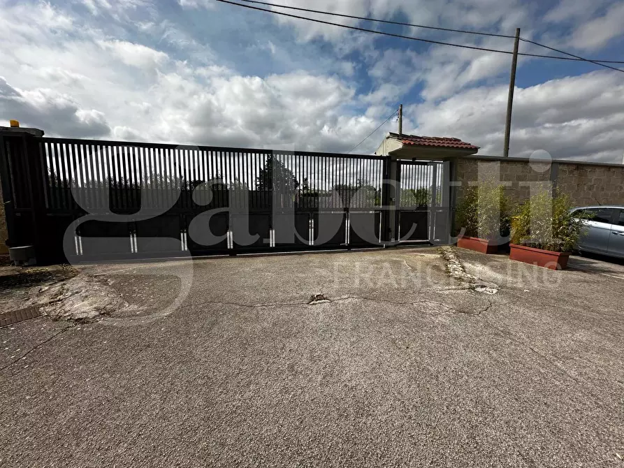 Immagine 3 di Capannone industriale in affitto  in Strada del Carro a Bisceglie
