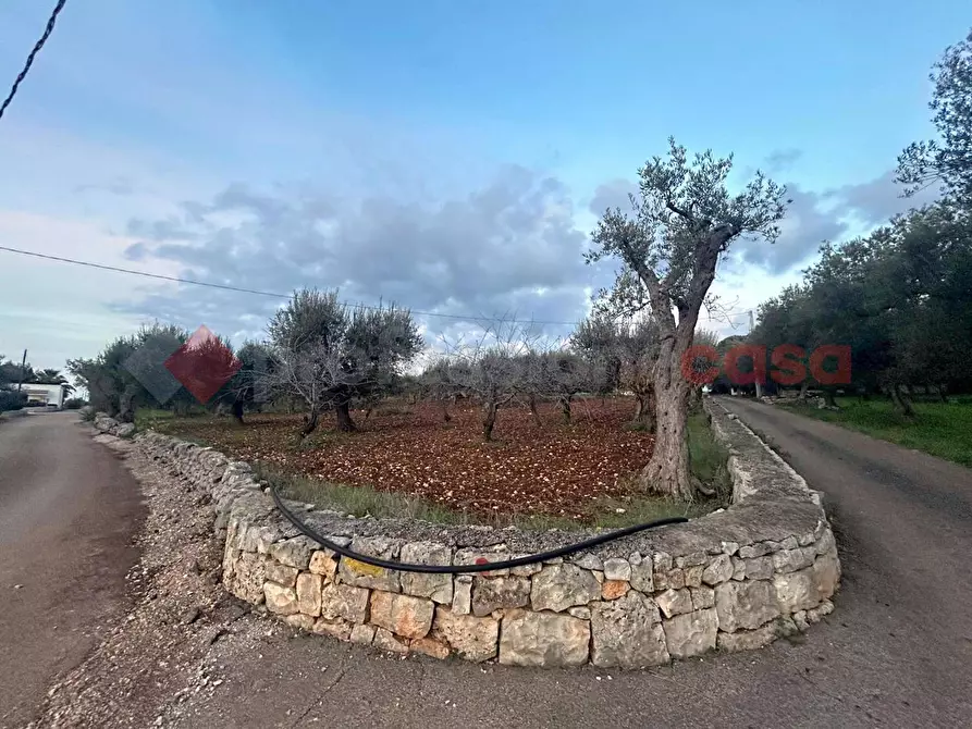 Immagine 6 di Casa indipendente in vendita  in Contrada TAVARELLO a Monopoli