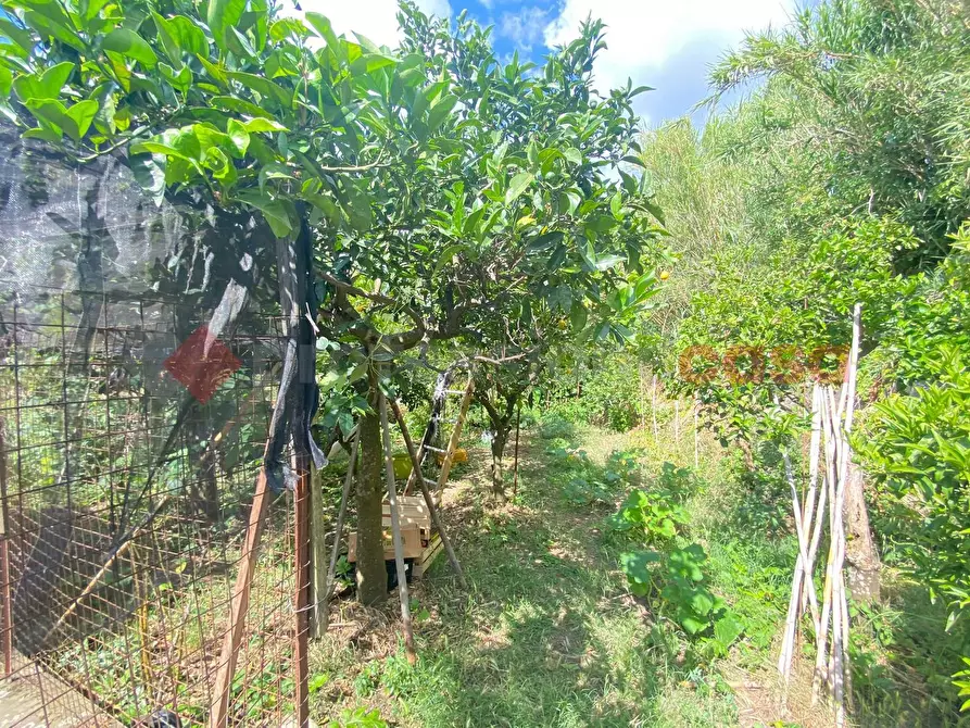 Immagine 30 di Appartamento in vendita  in Via Monte Massico a Falciano Del Massico